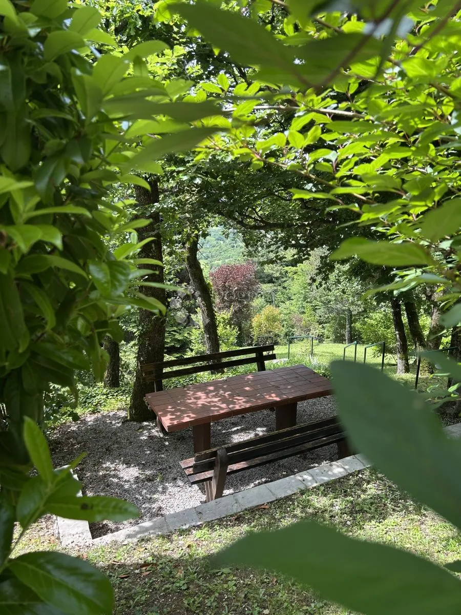 plešivica – kuća s panoramskim pogledom i velikom okućnicom - slika 16