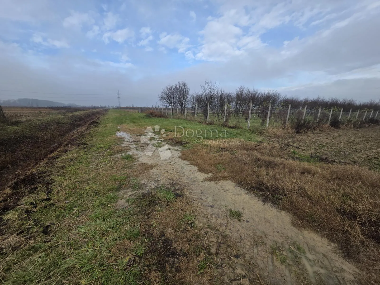 velike poljoprivredne parcele 9.859m² u mirnom okruženju blizu save! - slika 3