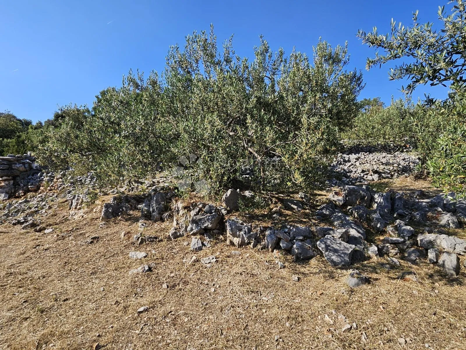 građevinsko zemljište s pogledom na more - slika 6