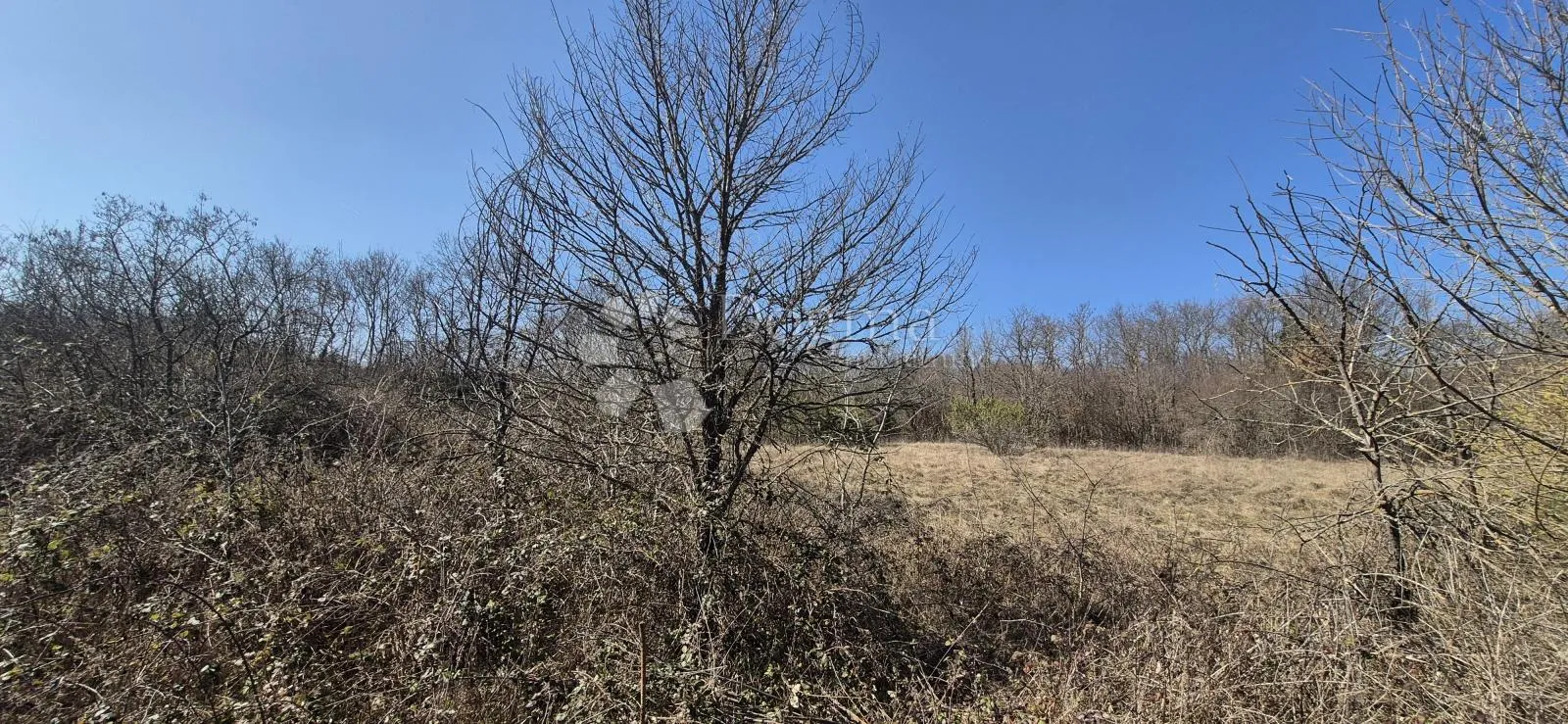 poljoprivredno zemljište površine 7962 m2 - slika 13