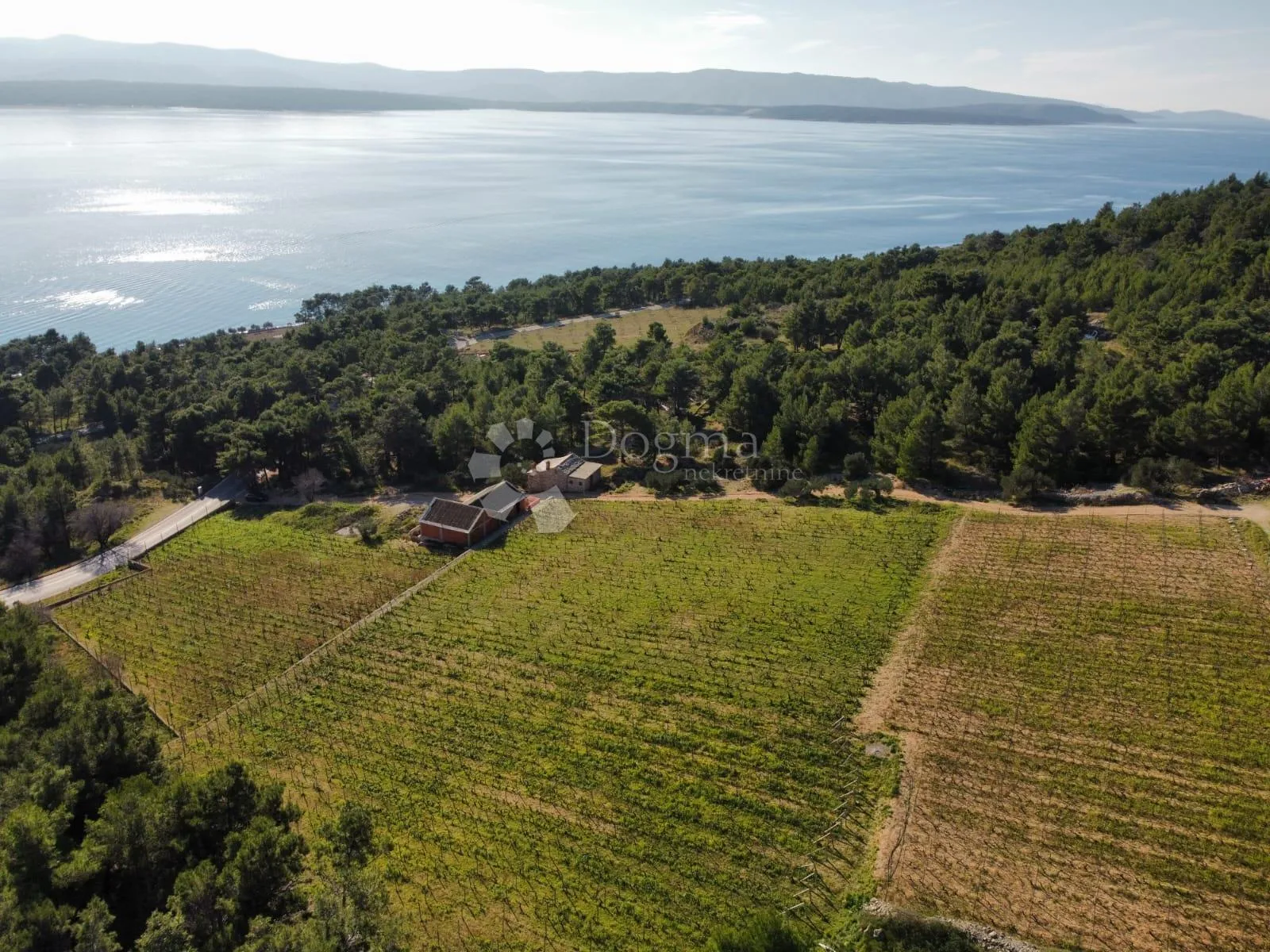 bol 2 kuće + vinograd od 9614m2 s top pogledom - slika 3
