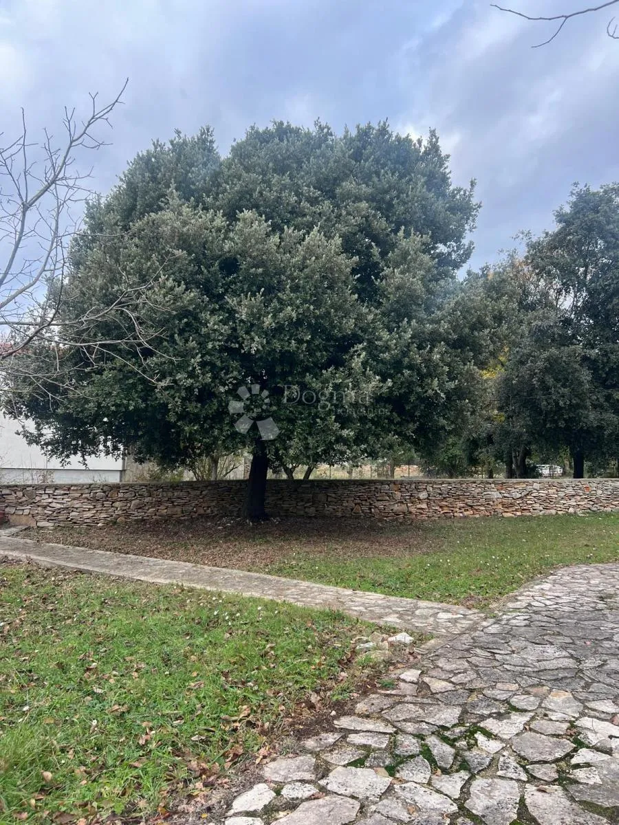 kuća i prostrano zemljište 11.090 m2 - slika 7