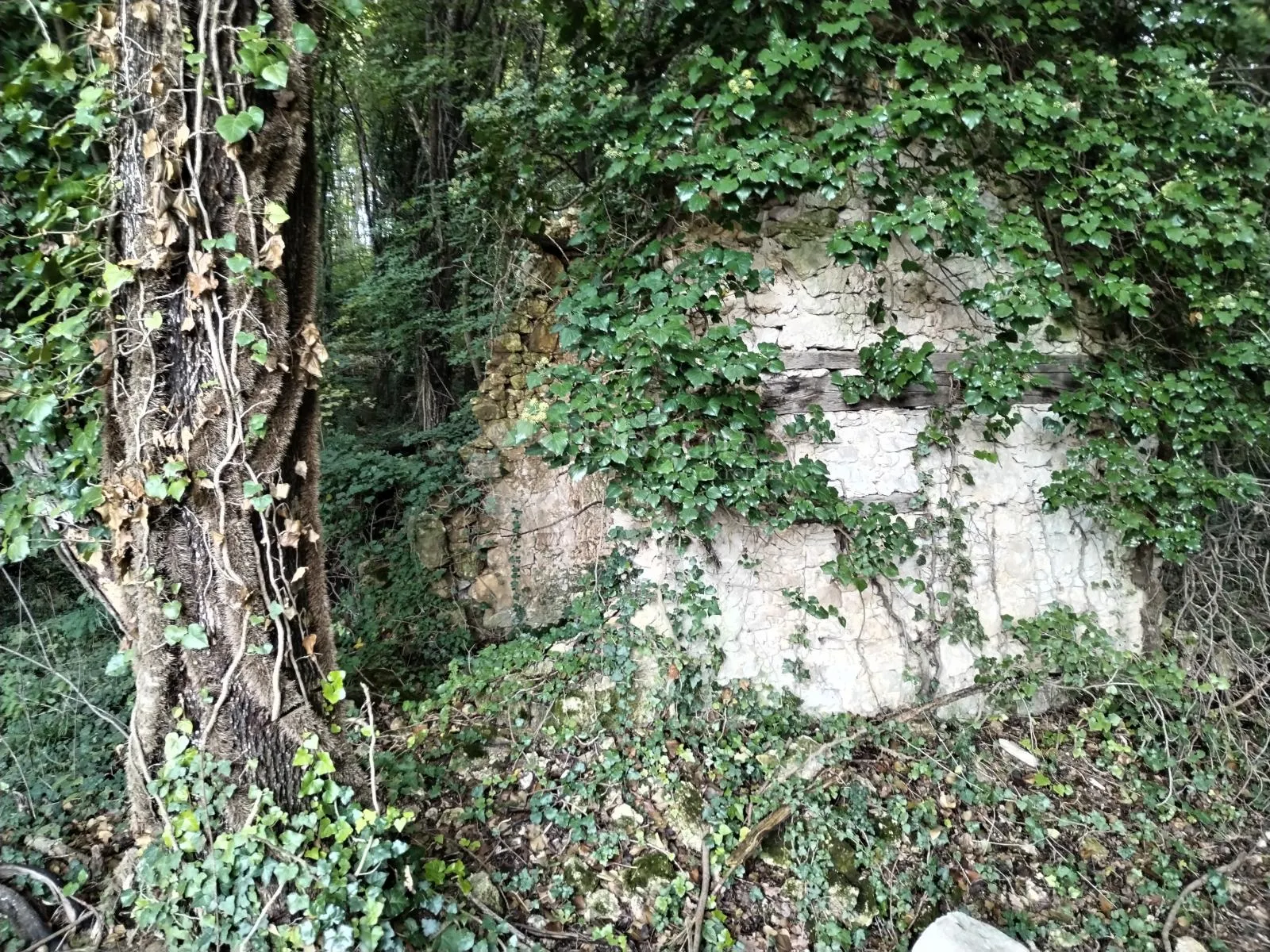 zemljište s ogromnim potencijalom - slika 11
