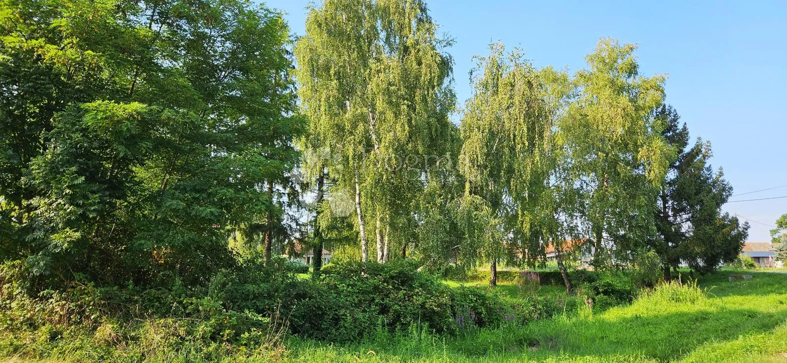 veliko građevinsko zemljište s kućom za rušenje - slika 12