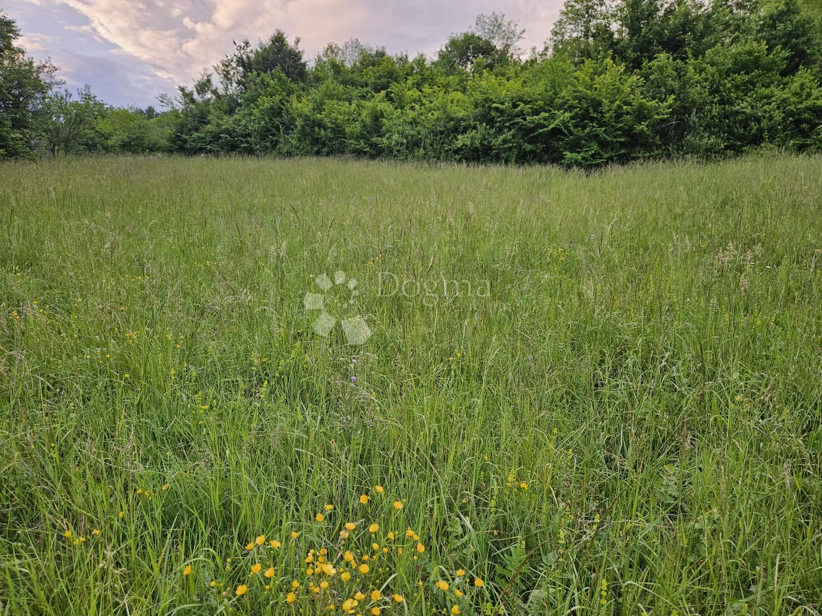 predivno zemljište - slika 2