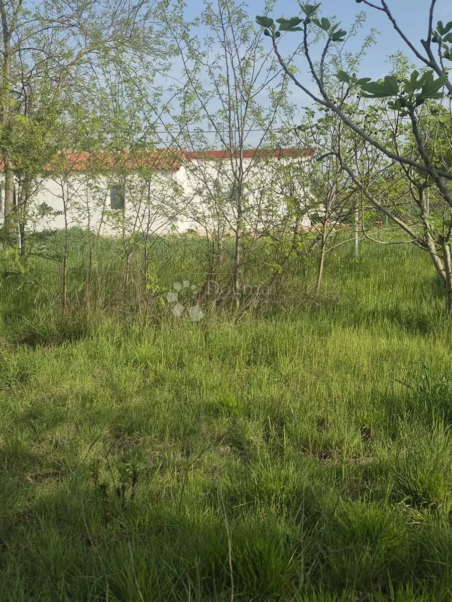 smoković - građevinsko zemljište - 2885 m2- prodaja - slika 5