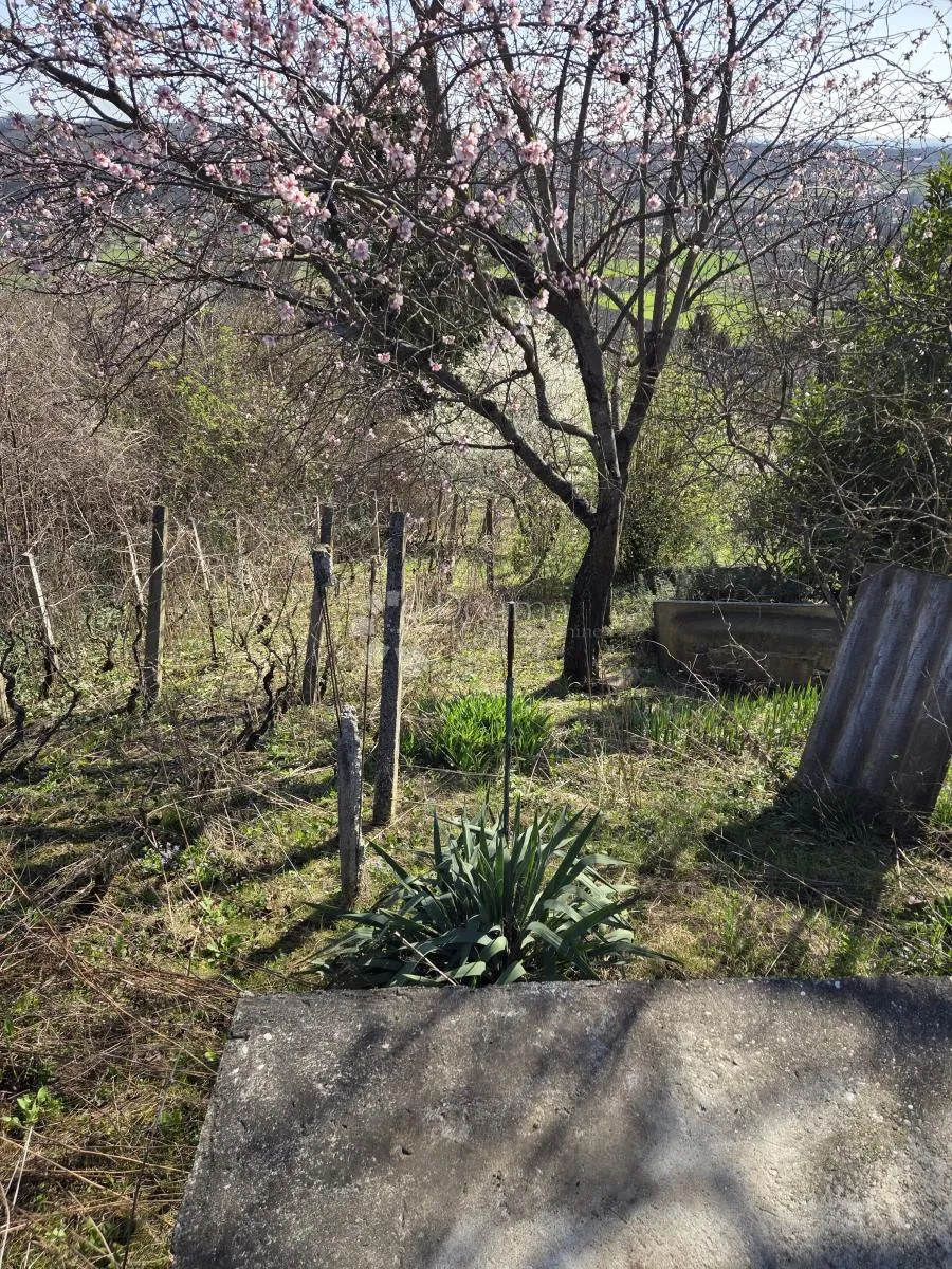 građevinsko zemljište feštinec,paruževina 959 m2 - slika 4