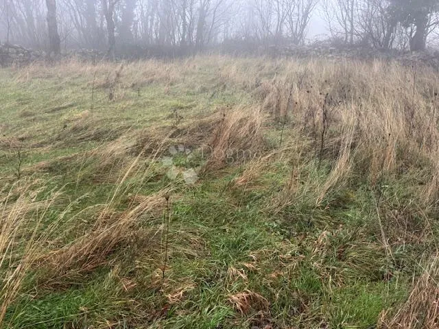 kuća/starina sa prostranom okućnicom! - slika 5