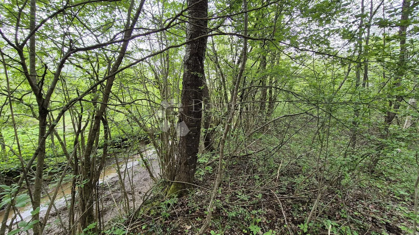 poljoprivredno zemljište podno velebita brušane - slika 3