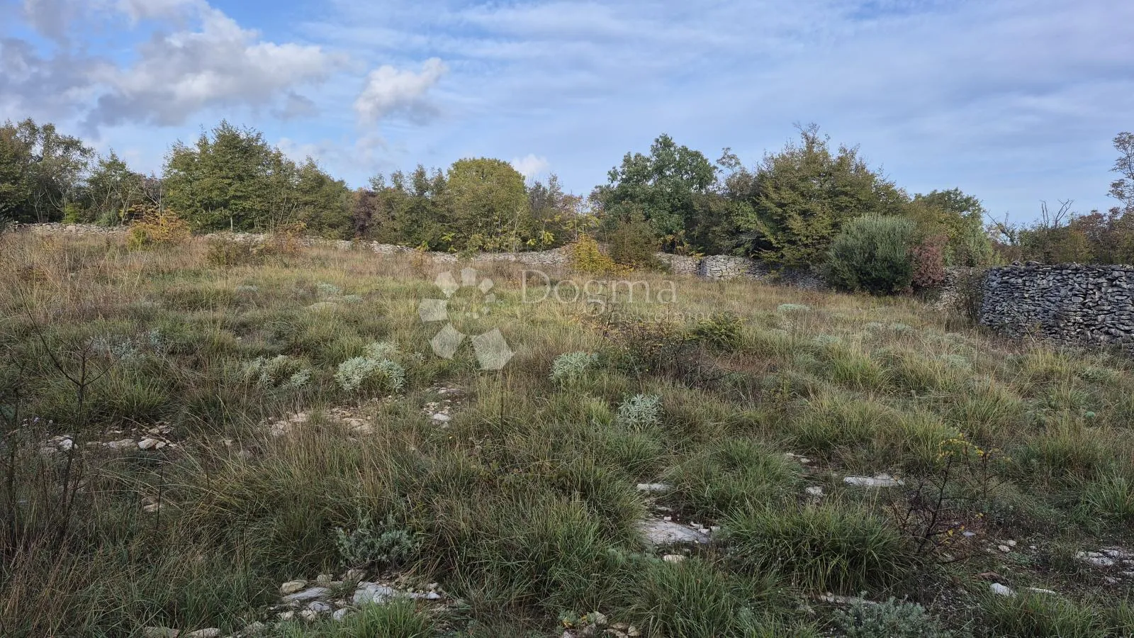 pašnjak ograđen suhozidom, površine 1705 m2 - slika 8
