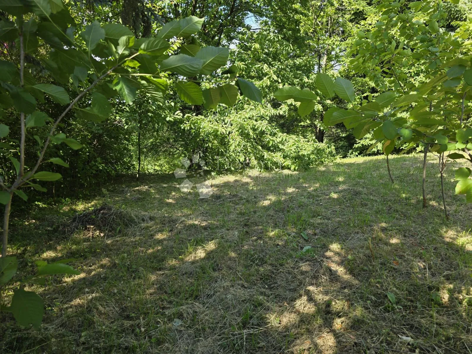 vaš komad raja u haliću - slika 12