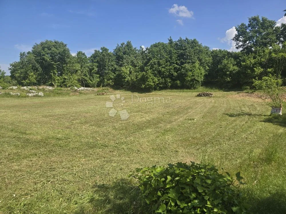 PRILIKA U ISTRI-Svetvinčenat,zemljište 2808 m2 - Peresiji, Svetvinčenat