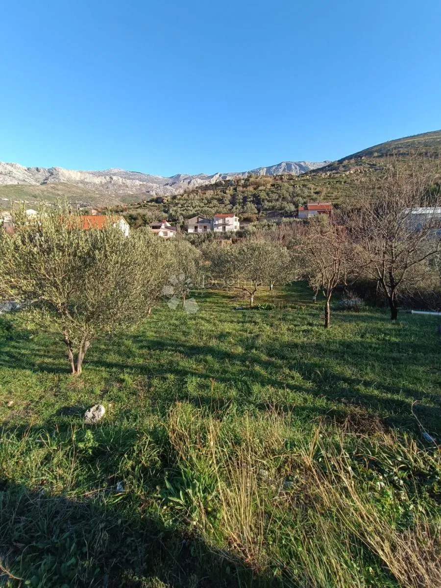 prilika! poljoprivredno zemljište srinjine, split - slika 7