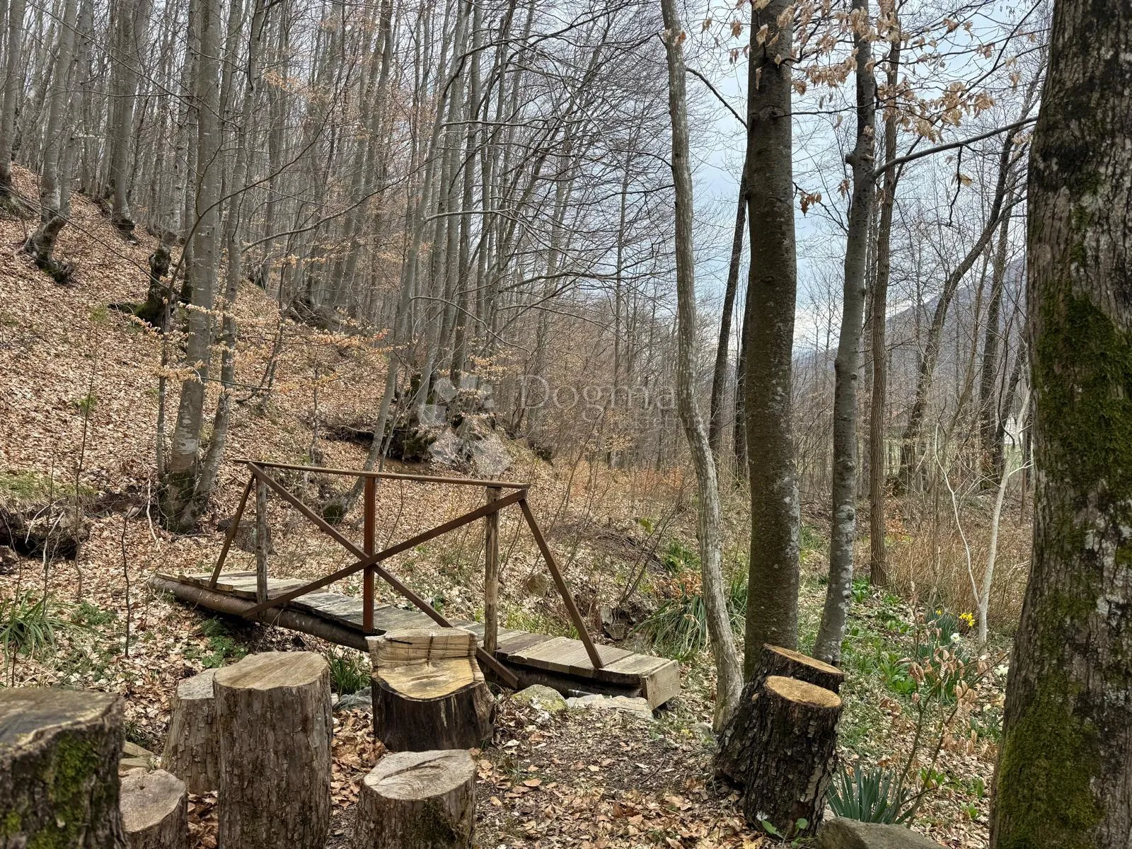 kuća 2 apartmana 2 građ zemljišta poljo 3000m2 - slika 27