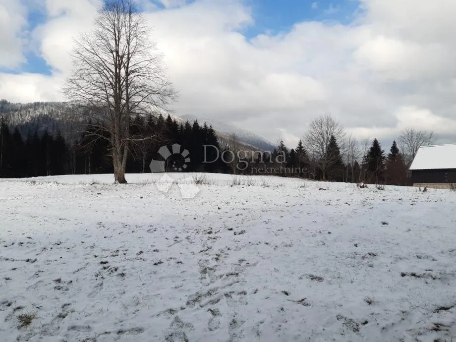 plac na bjelolasici - slika 2
