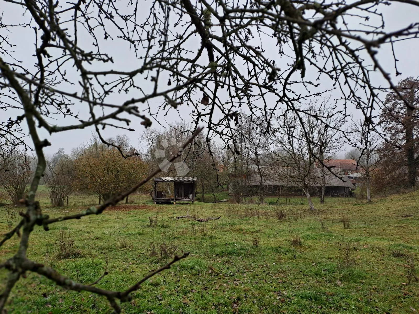 uživancija za konjiće, kravice ili ljude - slika 2