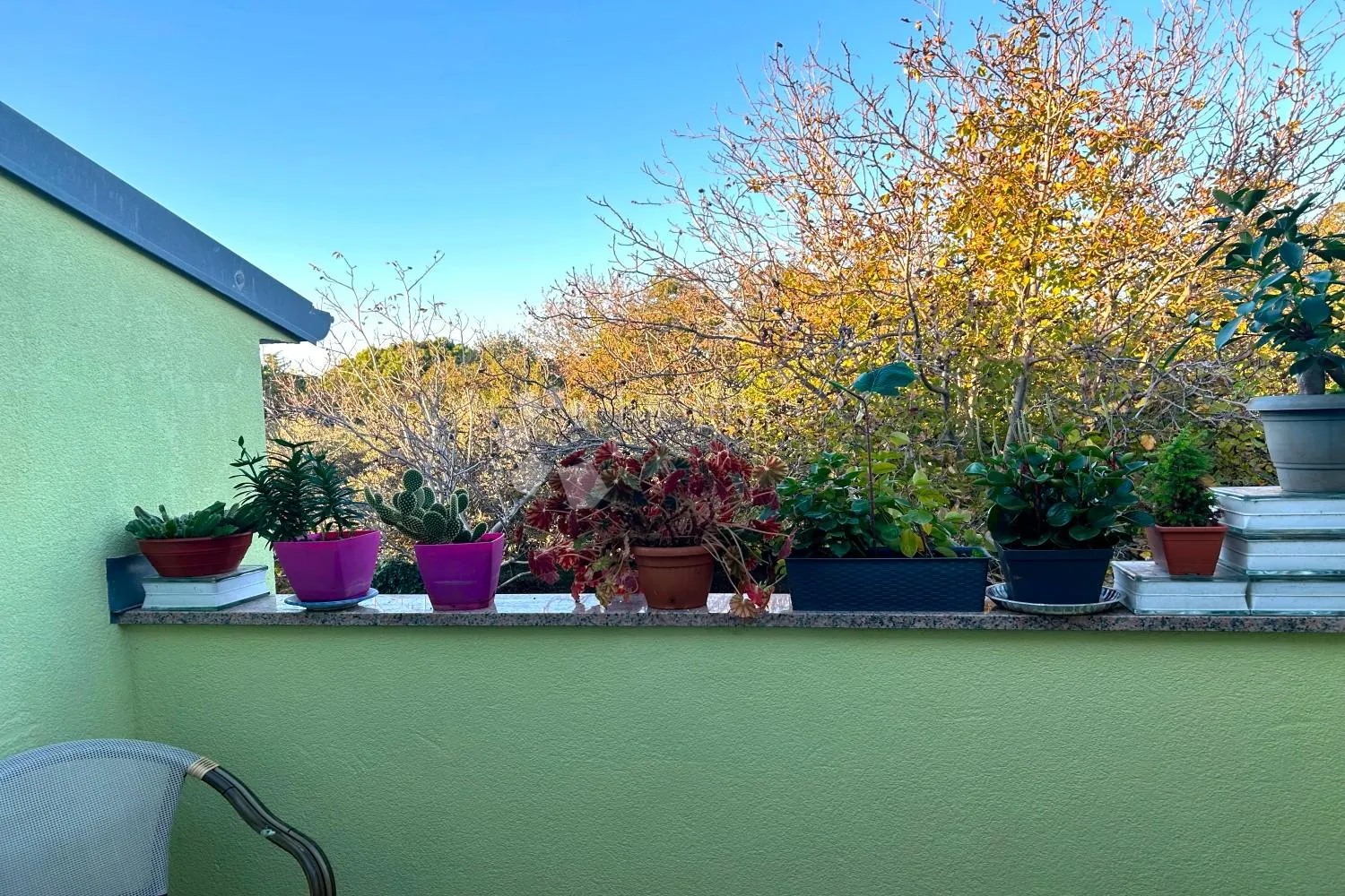 rovinj – kvalitetan stan s terasom i dvorištem - slika 6