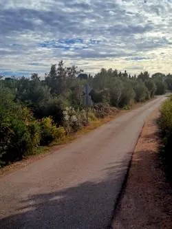 zanimljivo građevinsko zemljište na ugljanu - slika 8