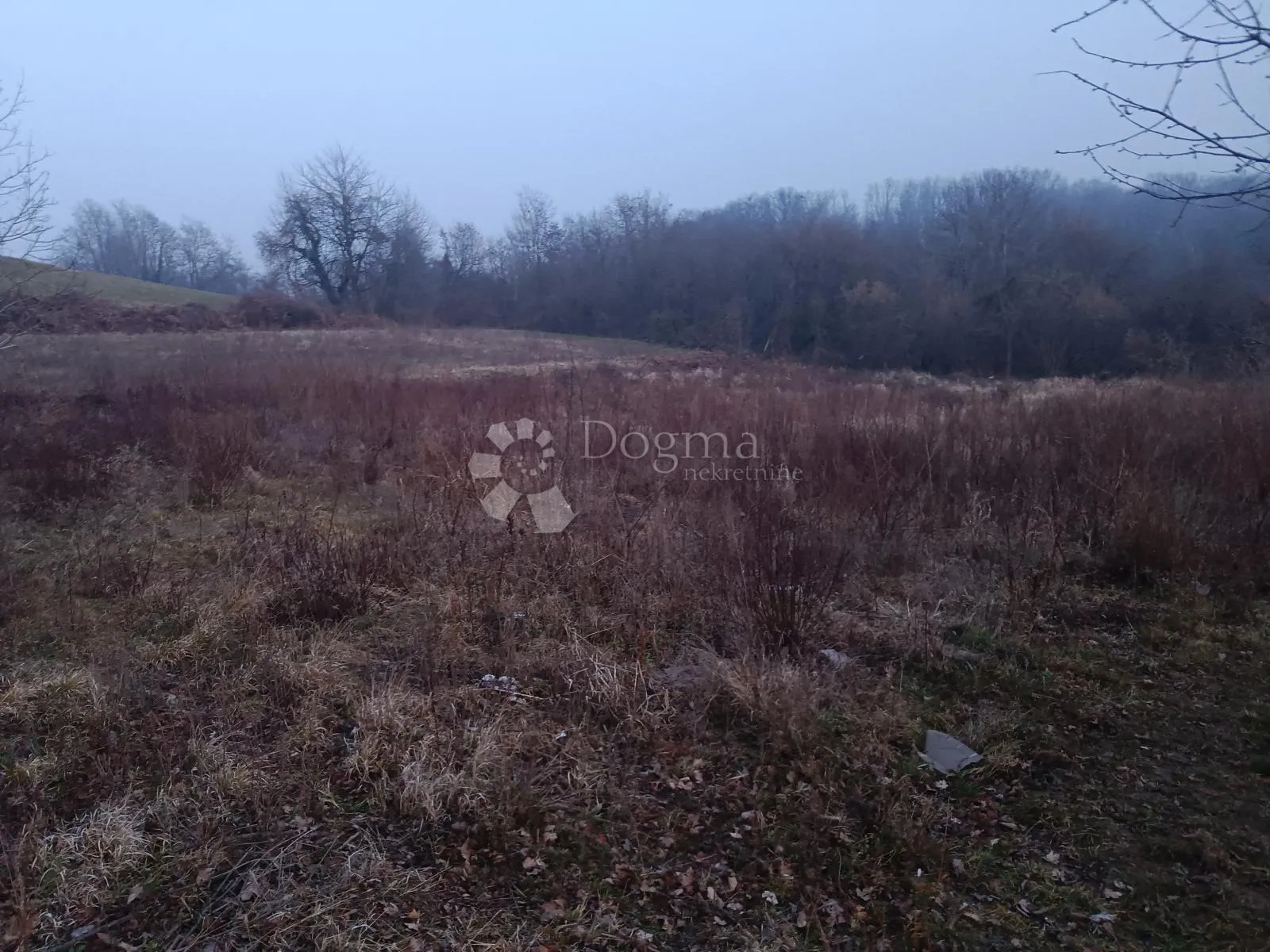 poljoprivredno zemljište uz šumu - slika 2
