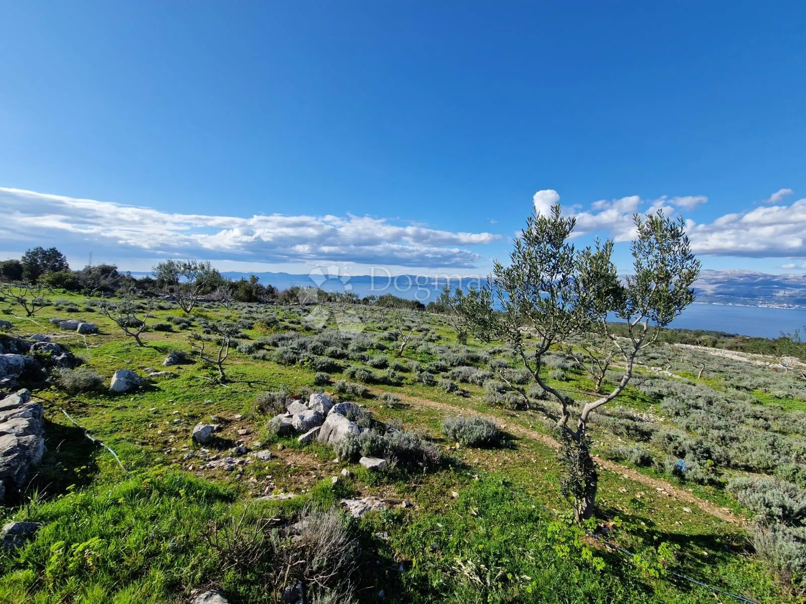 donji humac, zemljište za izgradnju opg-a, 12555 m2, pogled - slika 10