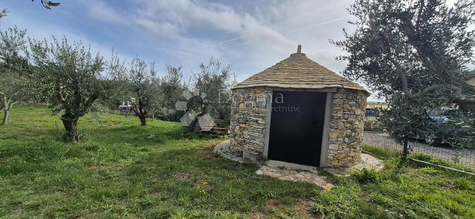 maslinik sa kamenim kažunom površine 15 m2, 1,5 km od mora - slika 7