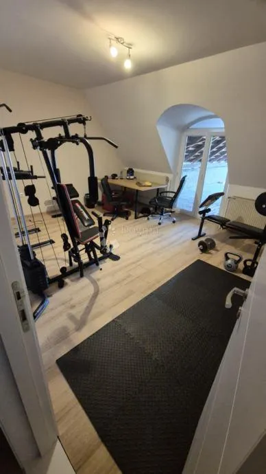 prodaja novoadaptirane kuće s poslovnim prostorom, novigrad podravski, 282m2, - slika 5