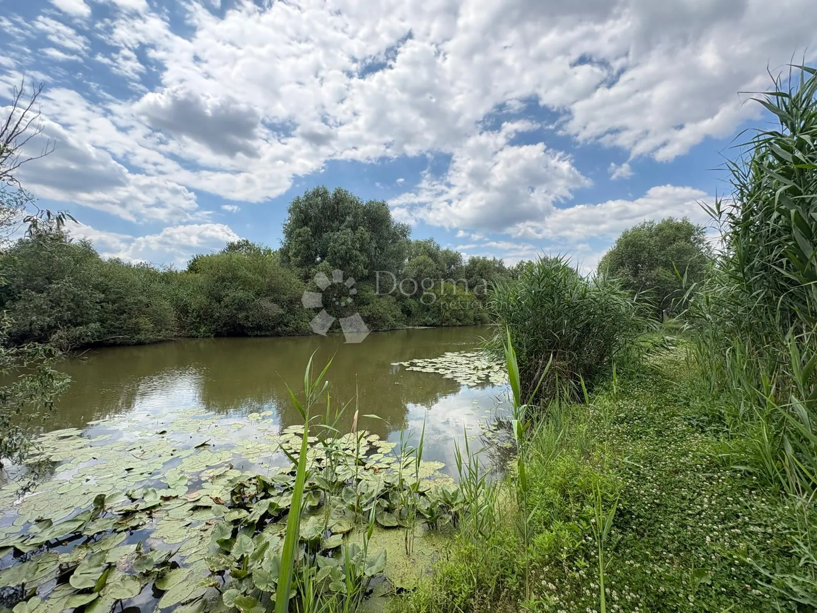 atraktivno imanje s ribnjakom i turističkim potencijalom - slika 34