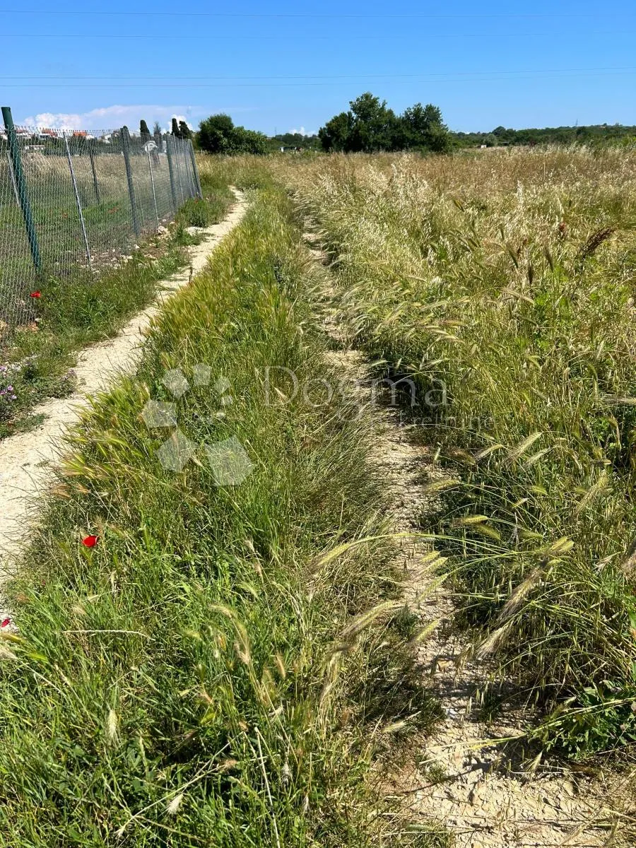 poljoprivredno zemljište u puli, busoler - 1290m2 - slika 6