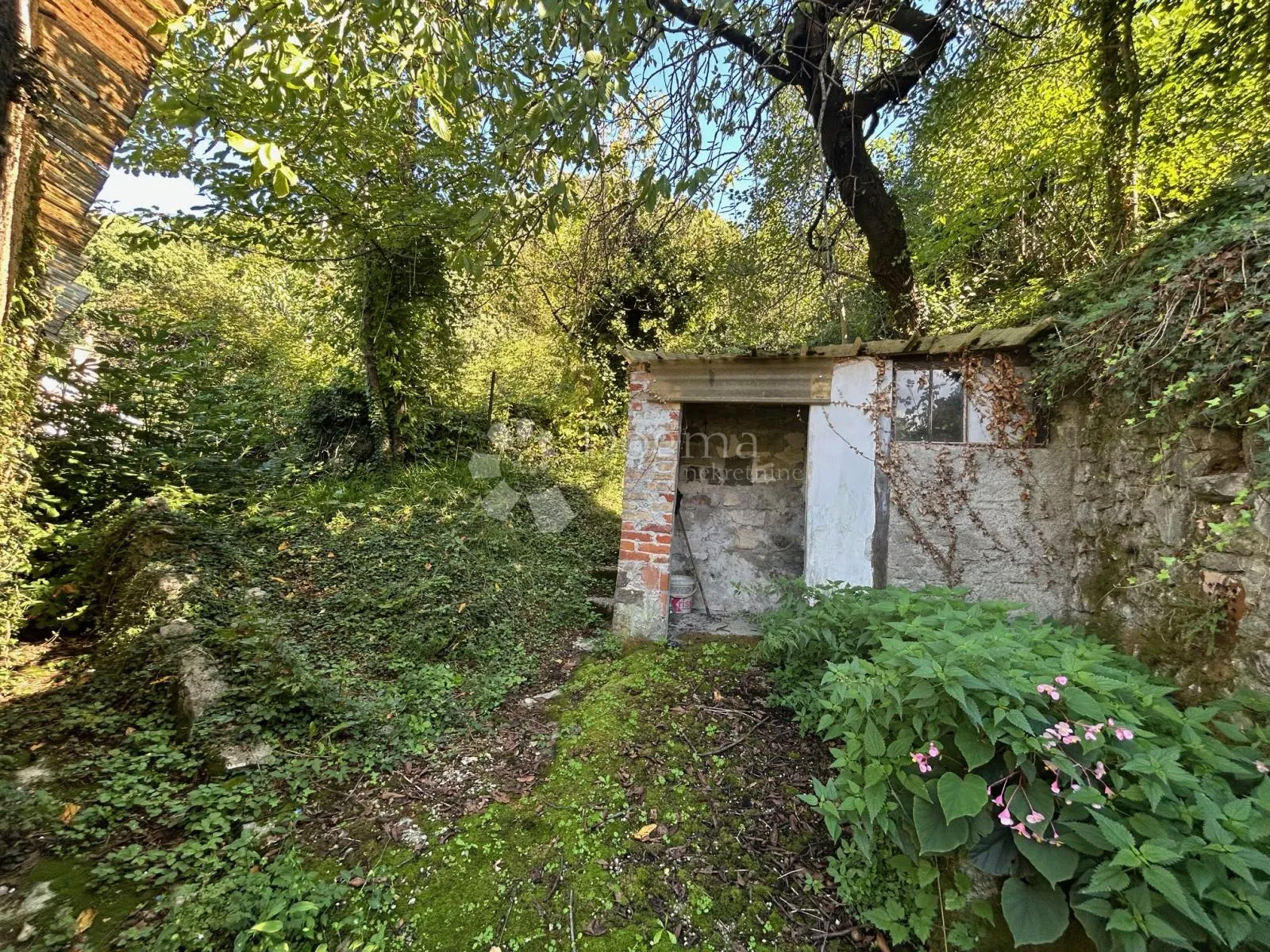 starina u gradskoj zoni - slika 4
