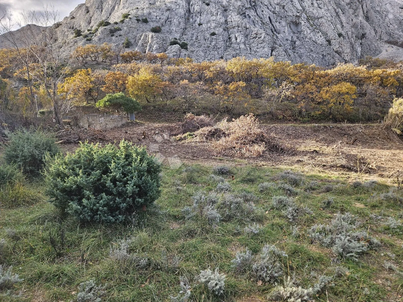 građevinsko zemljište pag – pogled na more, 250 m do plaže - slika 5