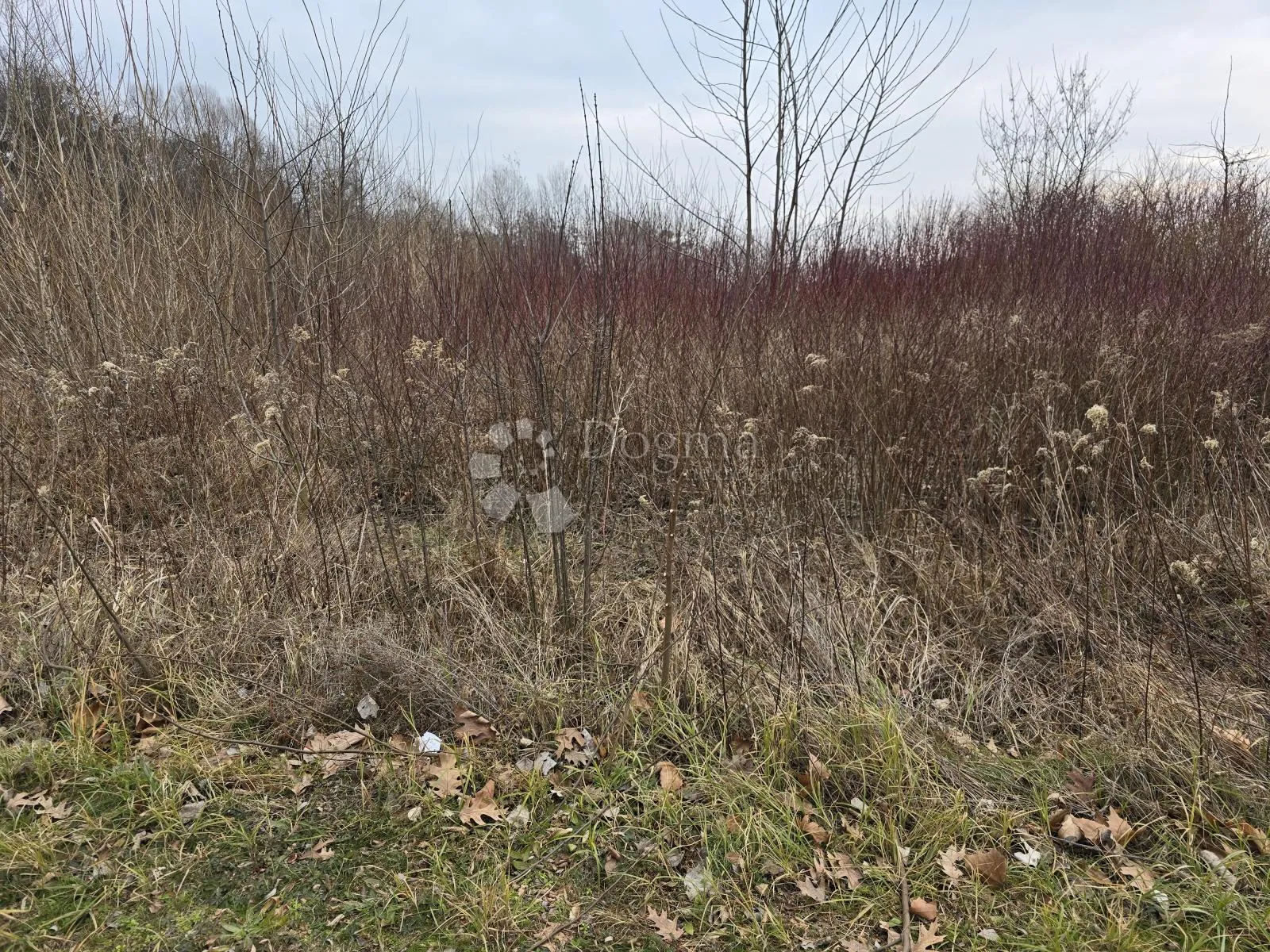 industrijsko zemljište od 4100 m2 u ulici ivana severa - slika 9
