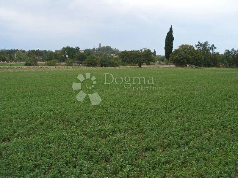 20 000 m2, žminj veliko imanje za izgradnju resorta - slika 7