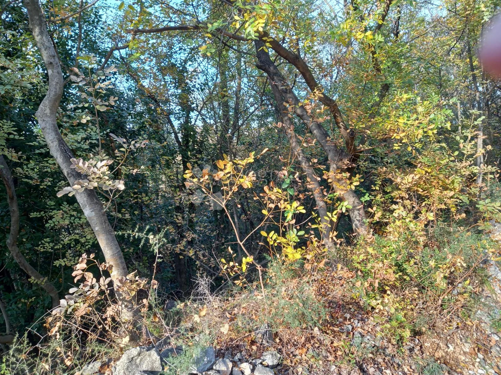 kostrena, građevinski teren sa pogledom - slika 11