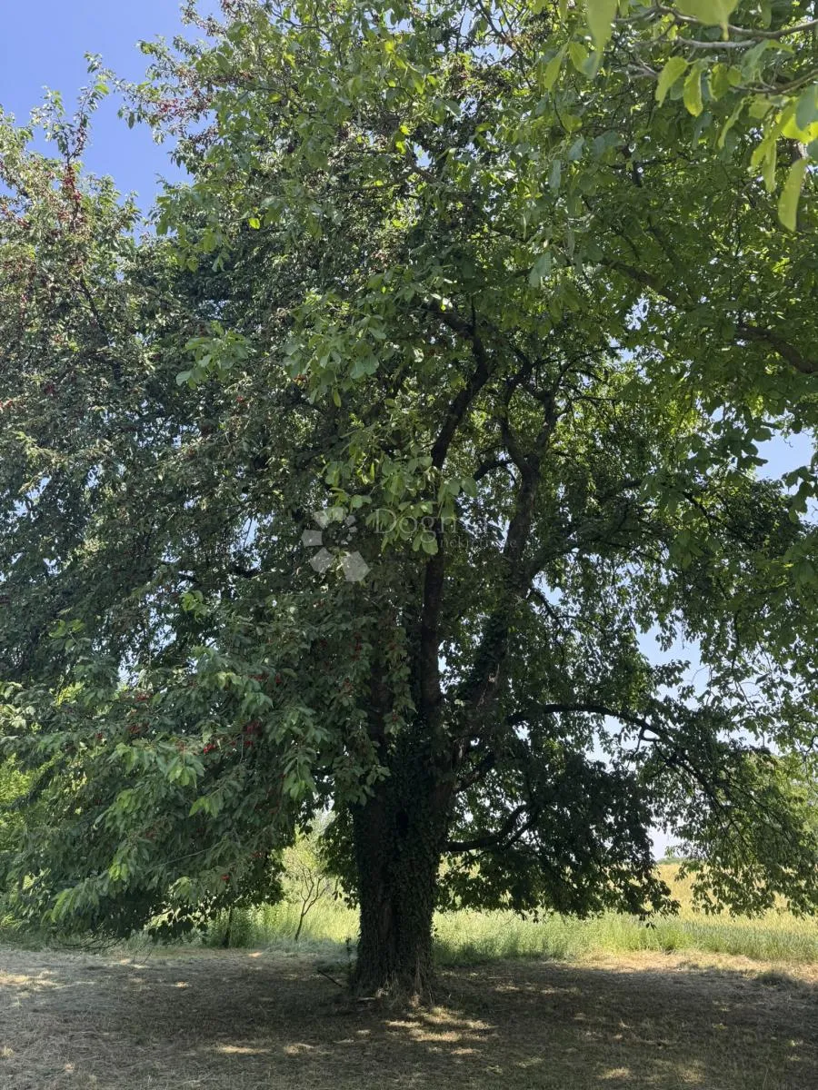 šarmantna mala klijet za veliki odmor u prirodi - slika 10