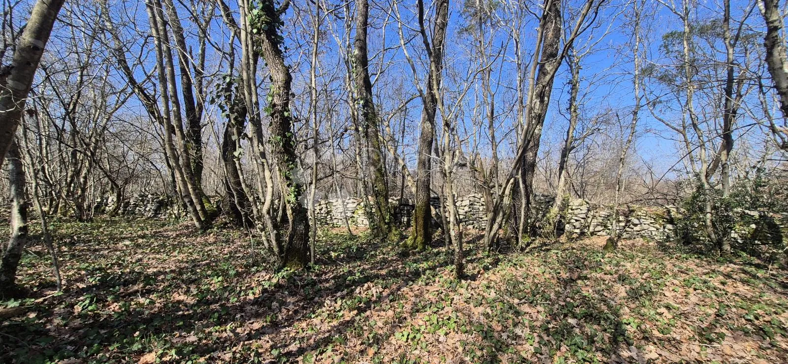 poljoprivredno zemljište površine 23953 m2 sa ogromnim potencijalom - slika 8
