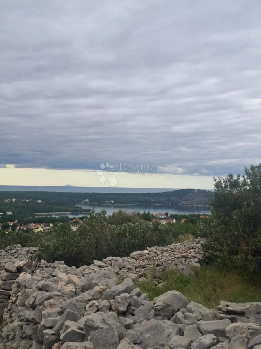 maslinik s pogledom na more milna brač - slika 1