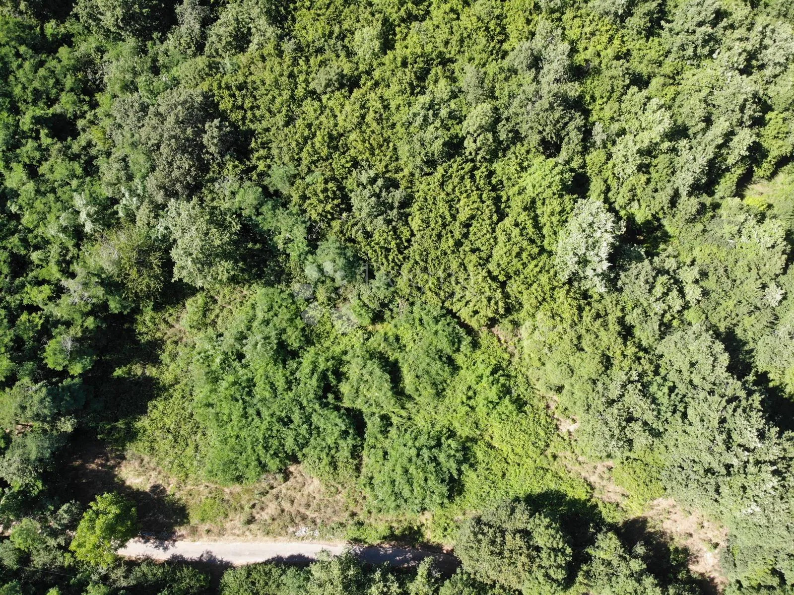 građevinsko zemljište s dozvolom na top lokaciji, poreč - slika 4