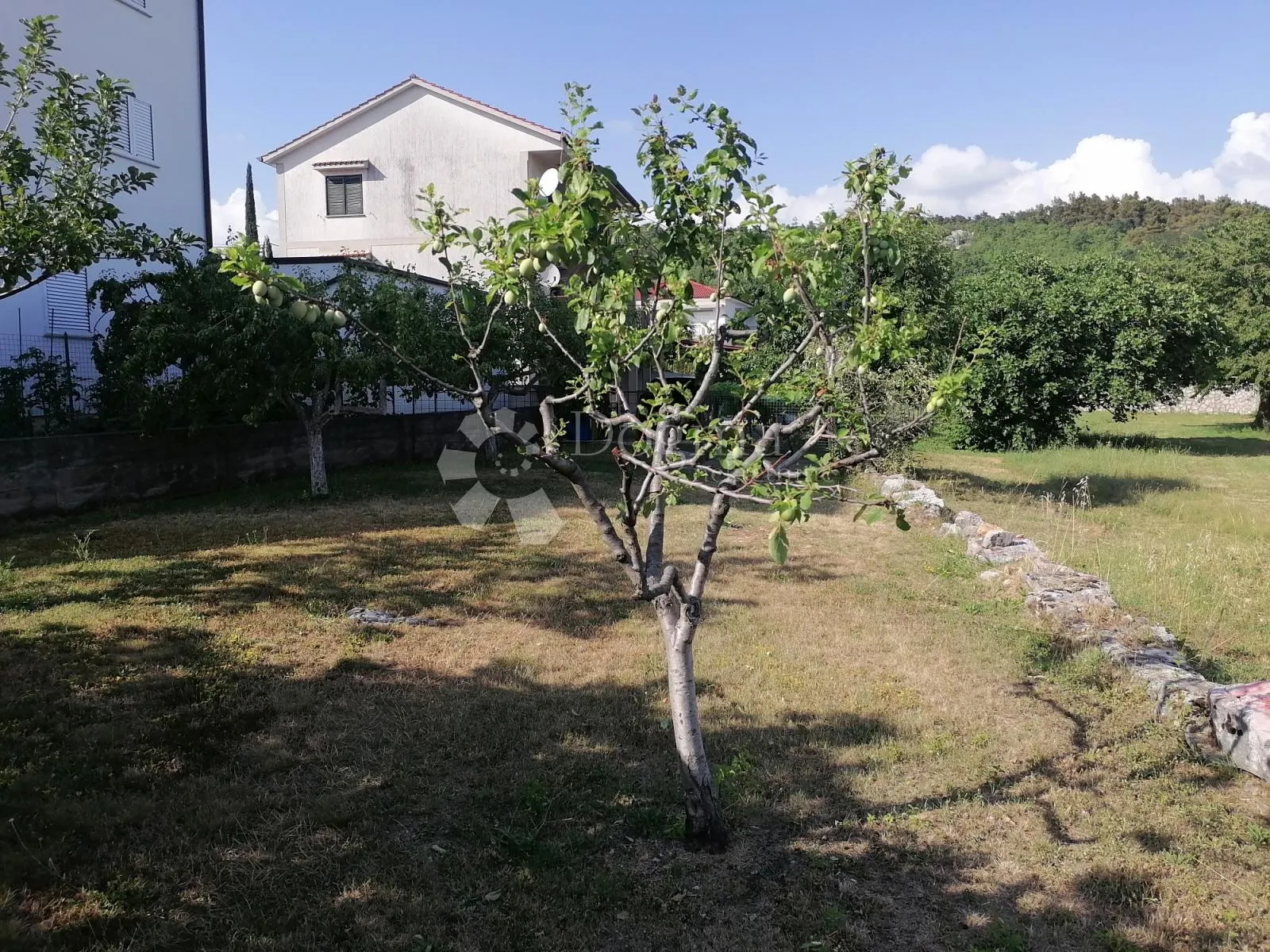 kuća na drenovi s dva trosobna stana i velikom okućnicom - slika 42