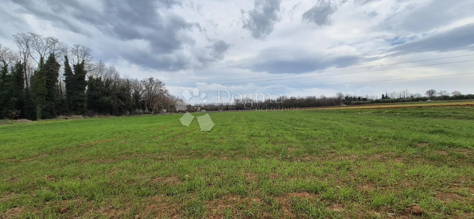 zemljište sa 60 maslina površine 10200 m2 - slika 17