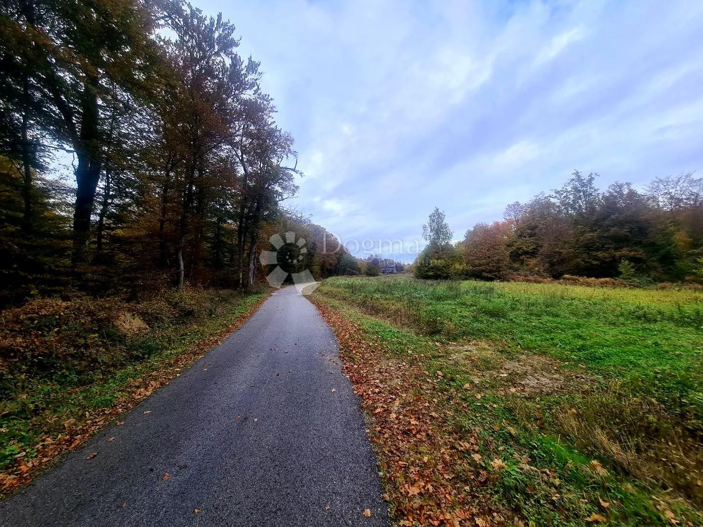 prekrasna kuća u prirodi - pisarovina - slika 10