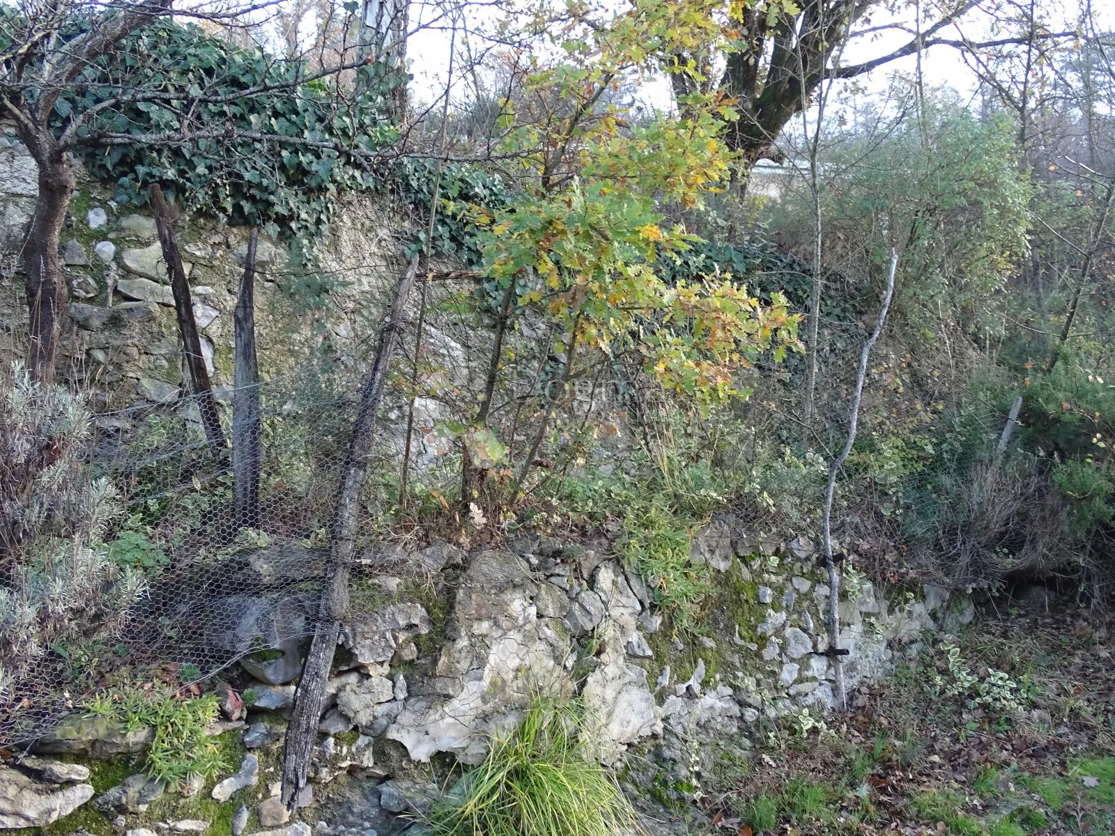 buzet - veliko poljoprivredno zemljište - slika 3