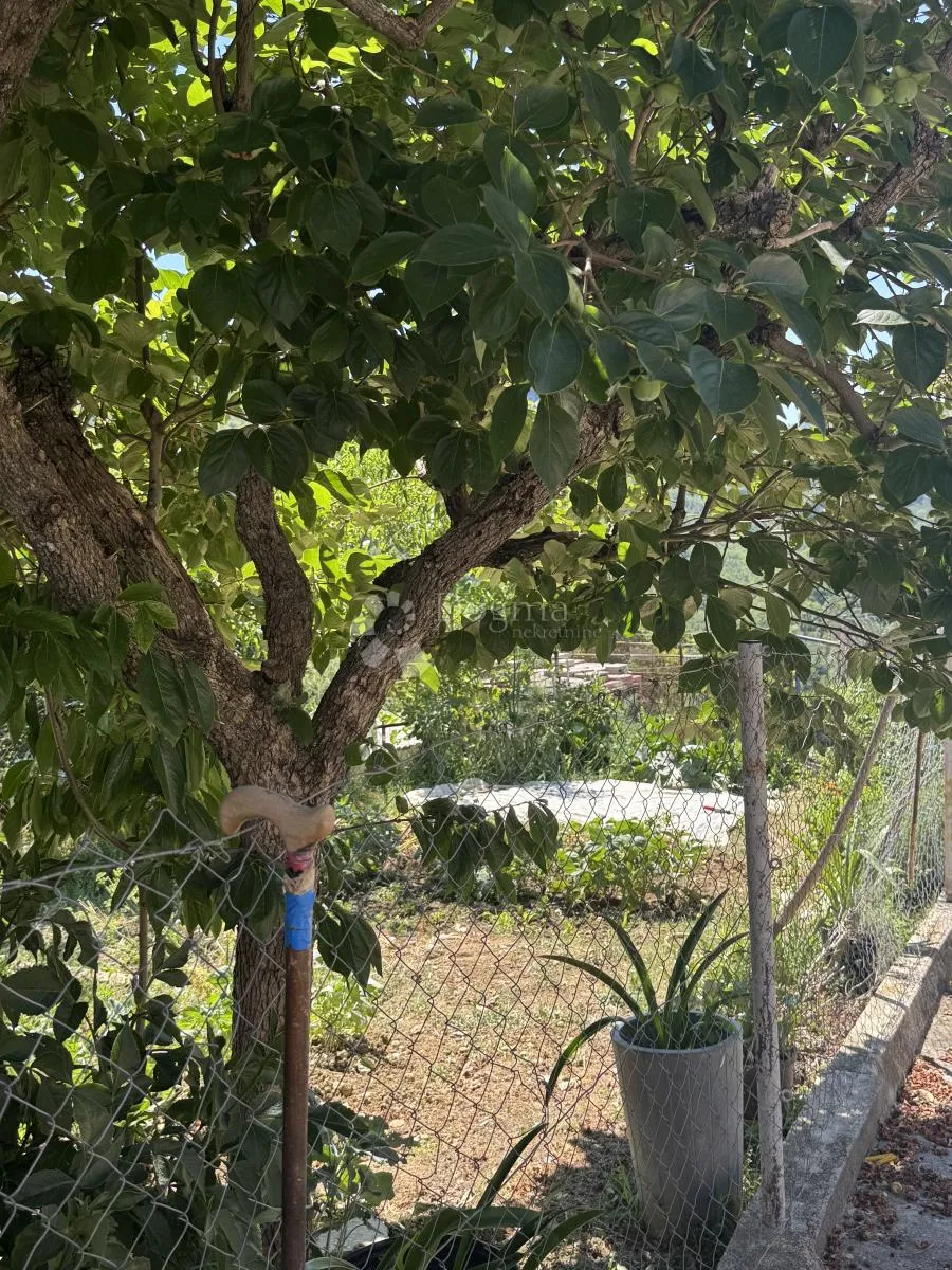 kuća sa potencijalom i građevinskim terenom / buzet - slika 32