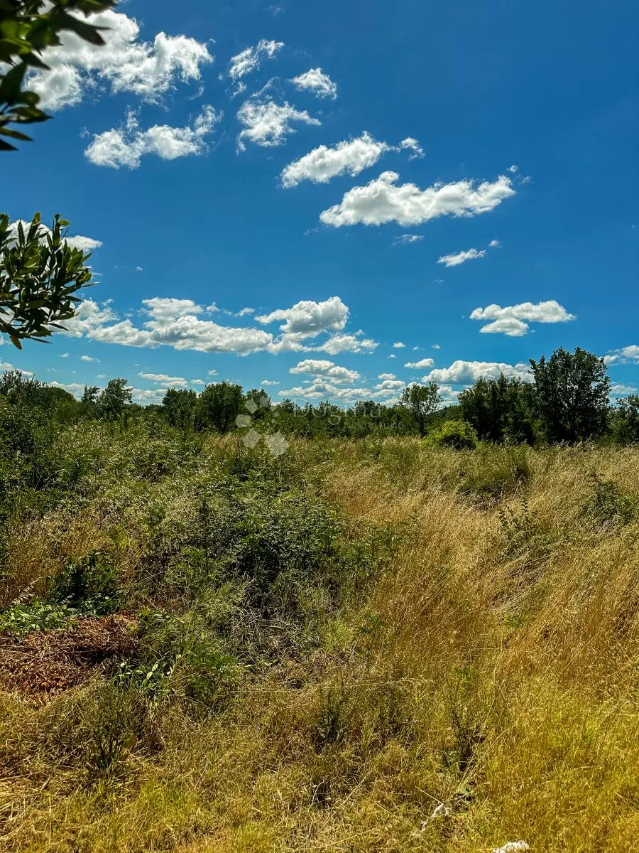polača; biograd n/m, atraktivno građevinsko zemljište 818 m2 - slika 2