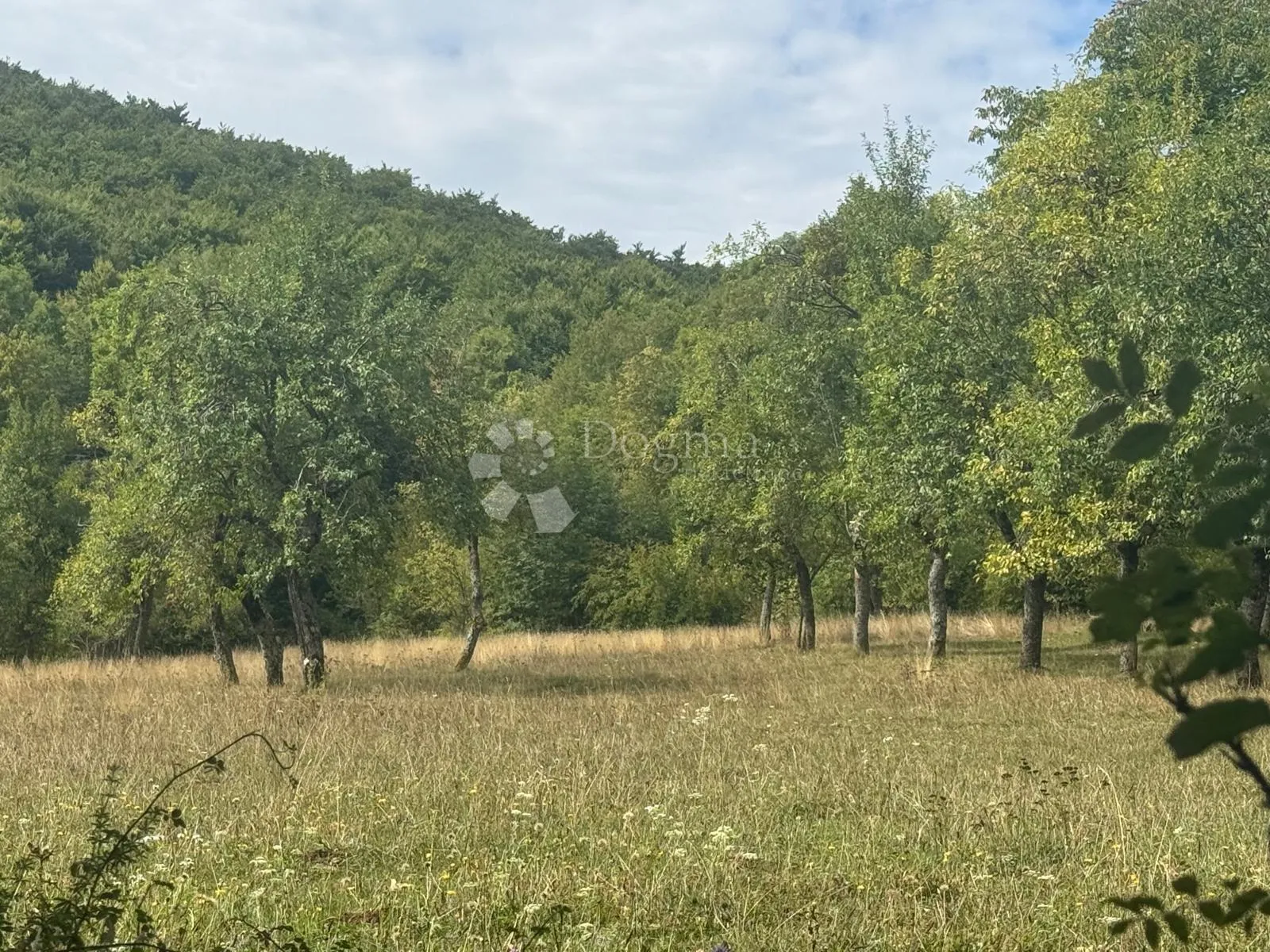 zemljište u perušiću – 2 ha u jednom komadu - slika 4