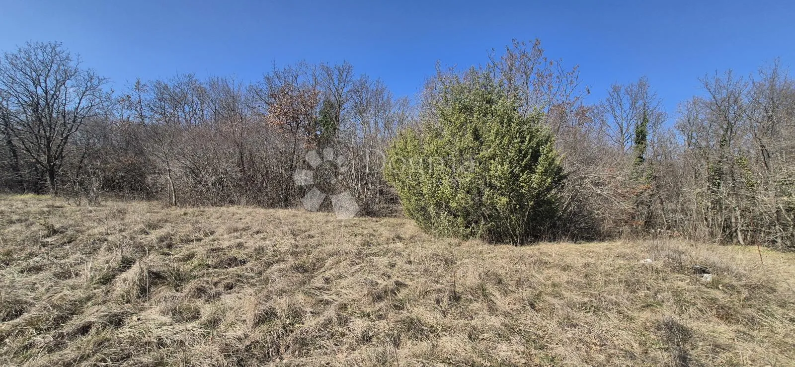 poljoprivredno zemljište površine 7962 m2 - slika 18