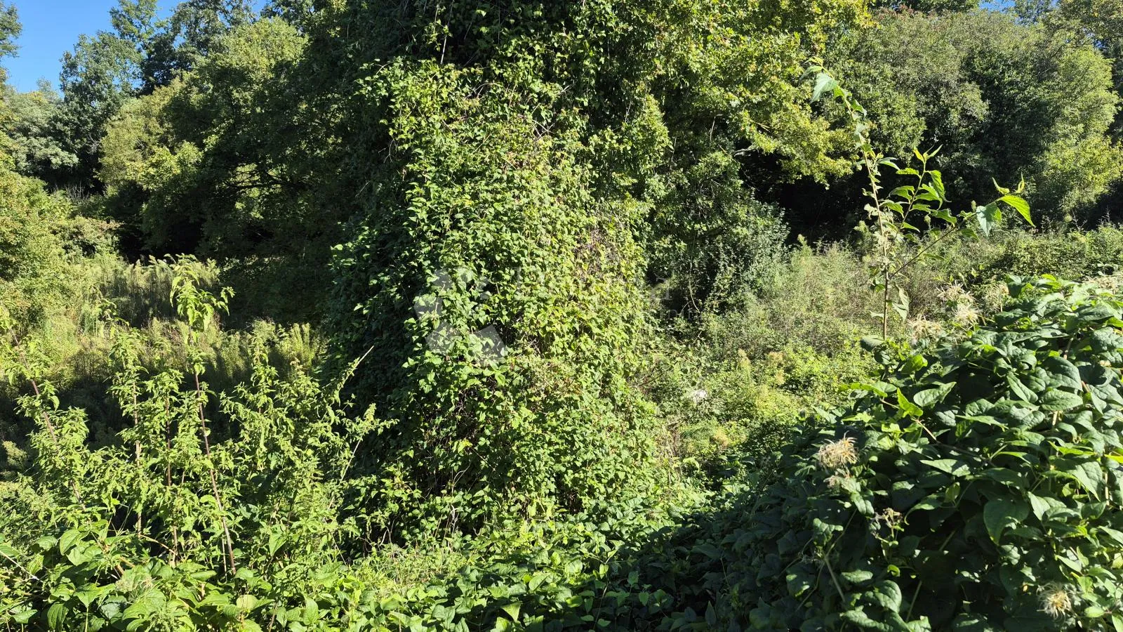 prodaje se poljoprivredno zemljište površine 1636 m2 u cukrićima - slika 2