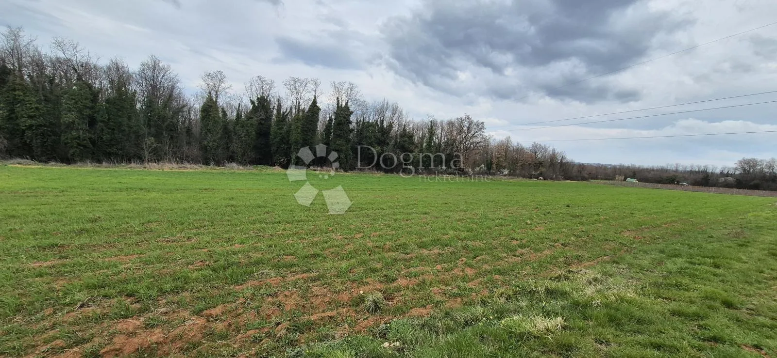 zemljište sa 60 maslina površine 10200 m2 - slika 14