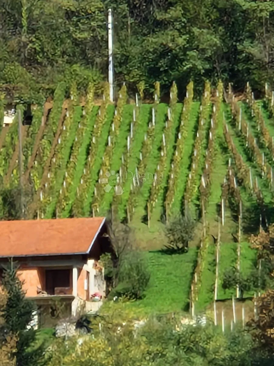 vikendica s prekrasnim pogledom, vinogradom i voćnjakom – idealna oaza mira - slika 16