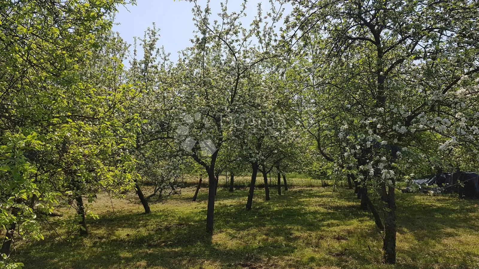 drnek velika gorica 1700m2 uz savu! - slika 3