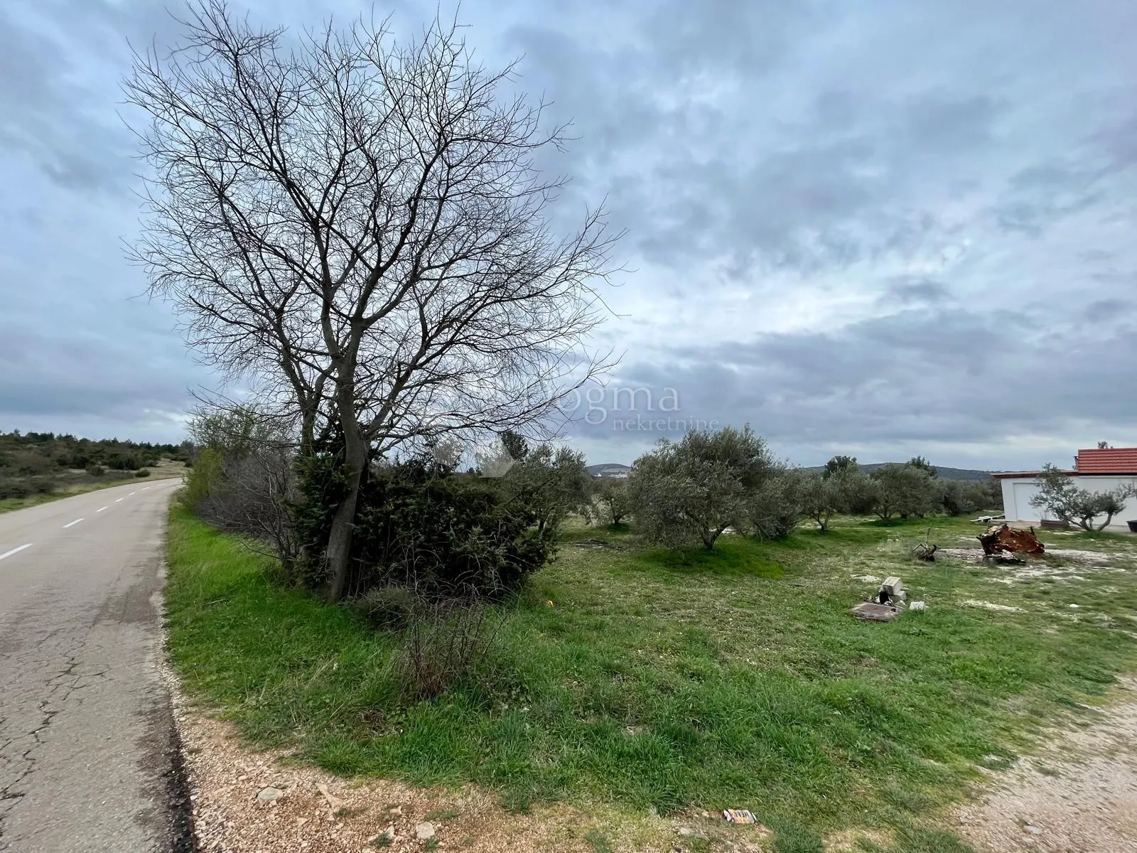 građevinsko zemljište 9.490 m² s maslinikom u rašteviću - slika 5